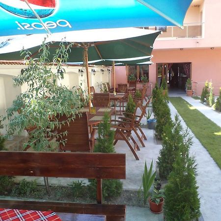 Tzvetelina Palace Hotel Dolna Banya Buitenkant foto
