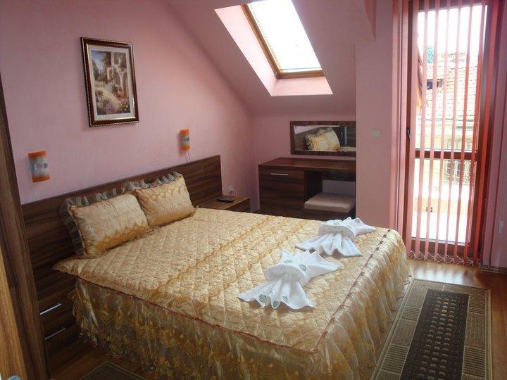 Tzvetelina Palace Hotel Dolna Banya Kamer foto