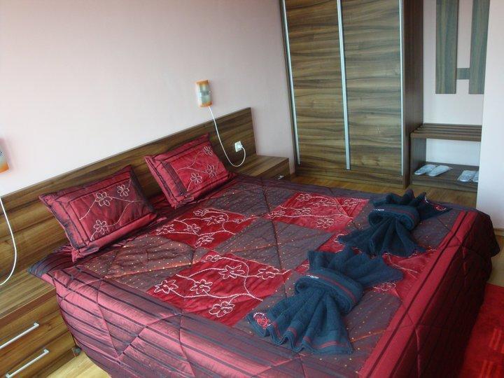 Tzvetelina Palace Hotel Dolna Banya Kamer foto