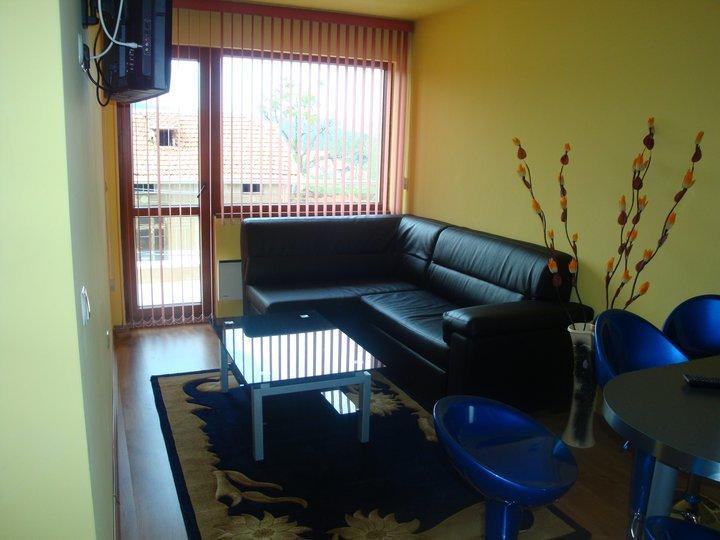 Tzvetelina Palace Hotel Dolna Banya Kamer foto