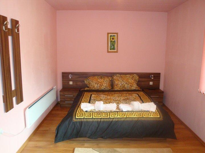 Tzvetelina Palace Hotel Dolna Banya Kamer foto