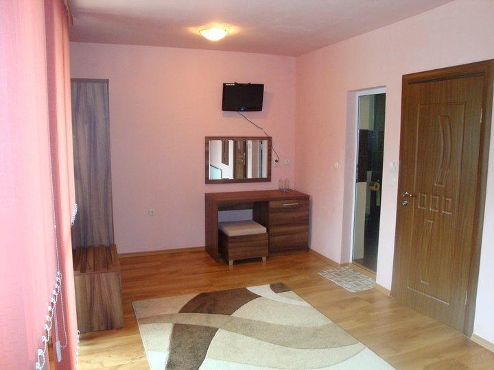 Tzvetelina Palace Hotel Dolna Banya Buitenkant foto