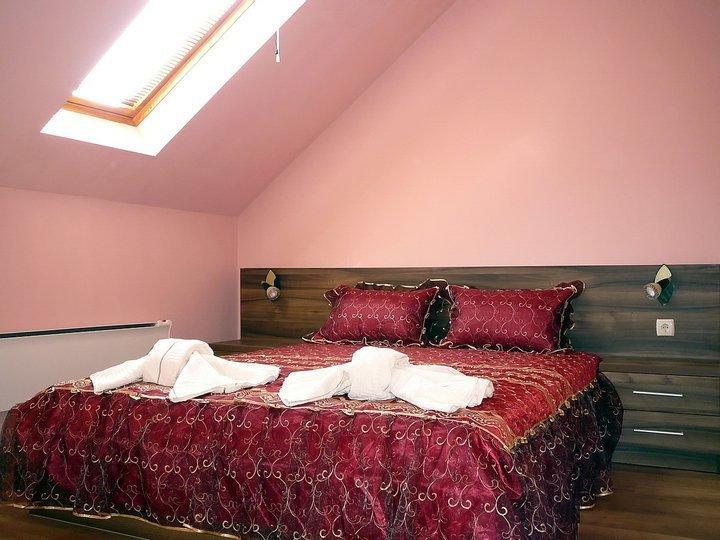 Tzvetelina Palace Hotel Dolna Banya Kamer foto