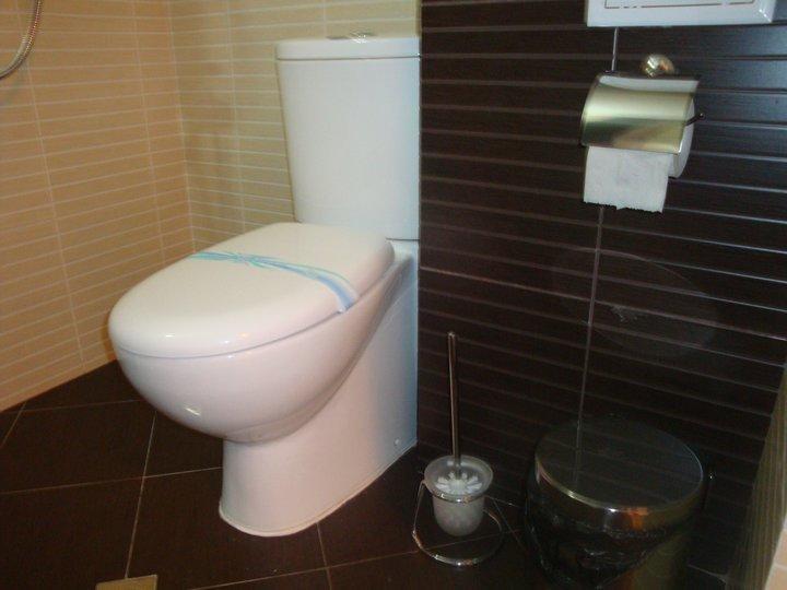Tzvetelina Palace Hotel Dolna Banya Kamer foto