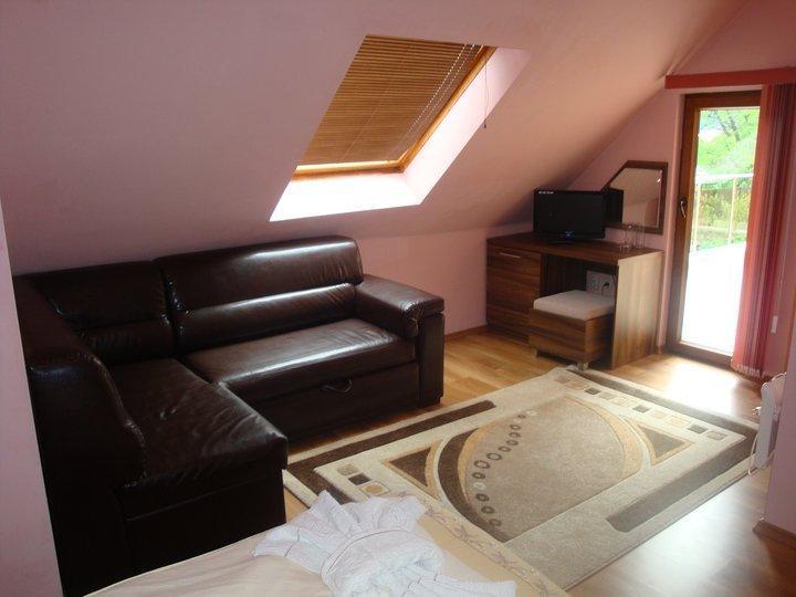 Tzvetelina Palace Hotel Dolna Banya Kamer foto