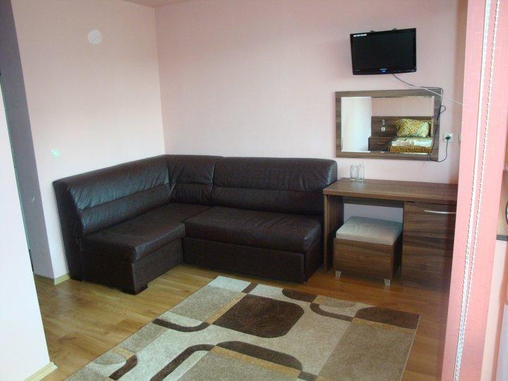 Tzvetelina Palace Hotel Dolna Banya Buitenkant foto