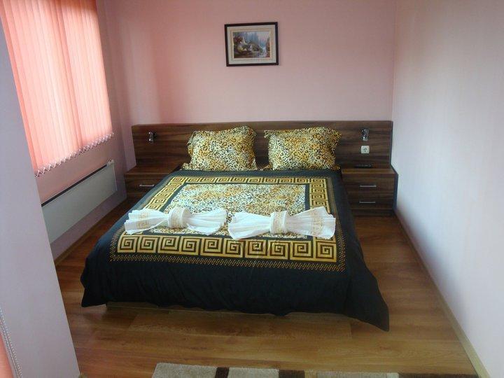 Tzvetelina Palace Hotel Dolna Banya Buitenkant foto