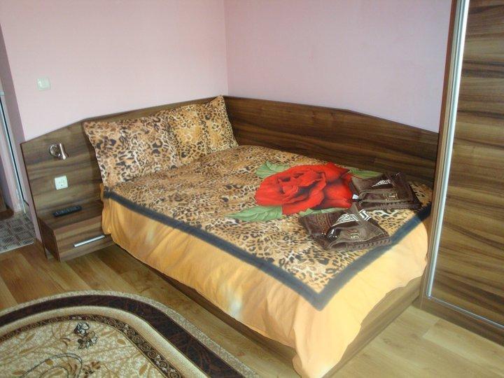 Tzvetelina Palace Hotel Dolna Banya Kamer foto