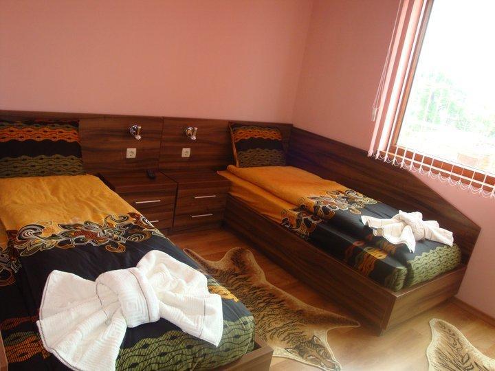 Tzvetelina Palace Hotel Dolna Banya Kamer foto