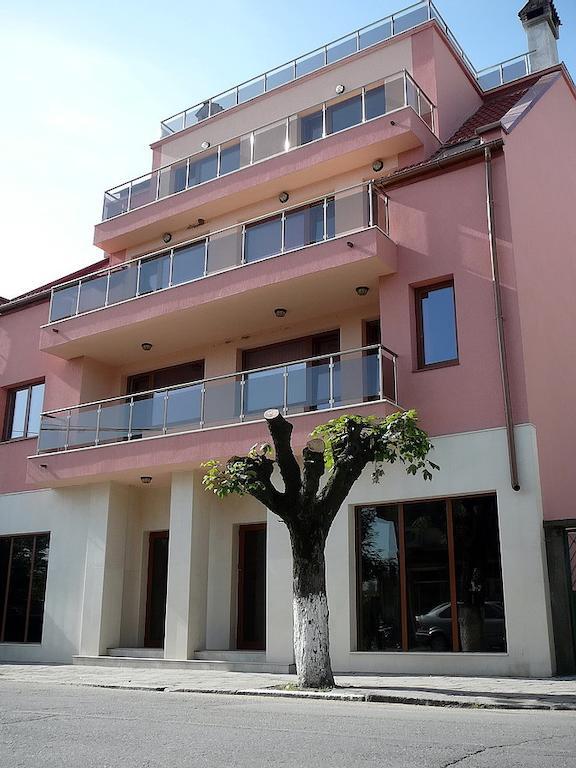 Tzvetelina Palace Hotel Dolna Banya Buitenkant foto