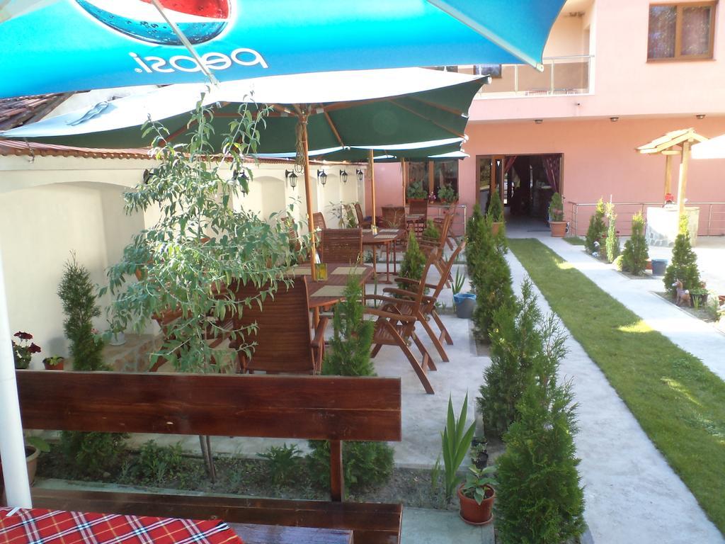 Tzvetelina Palace Hotel Dolna Banya Buitenkant foto