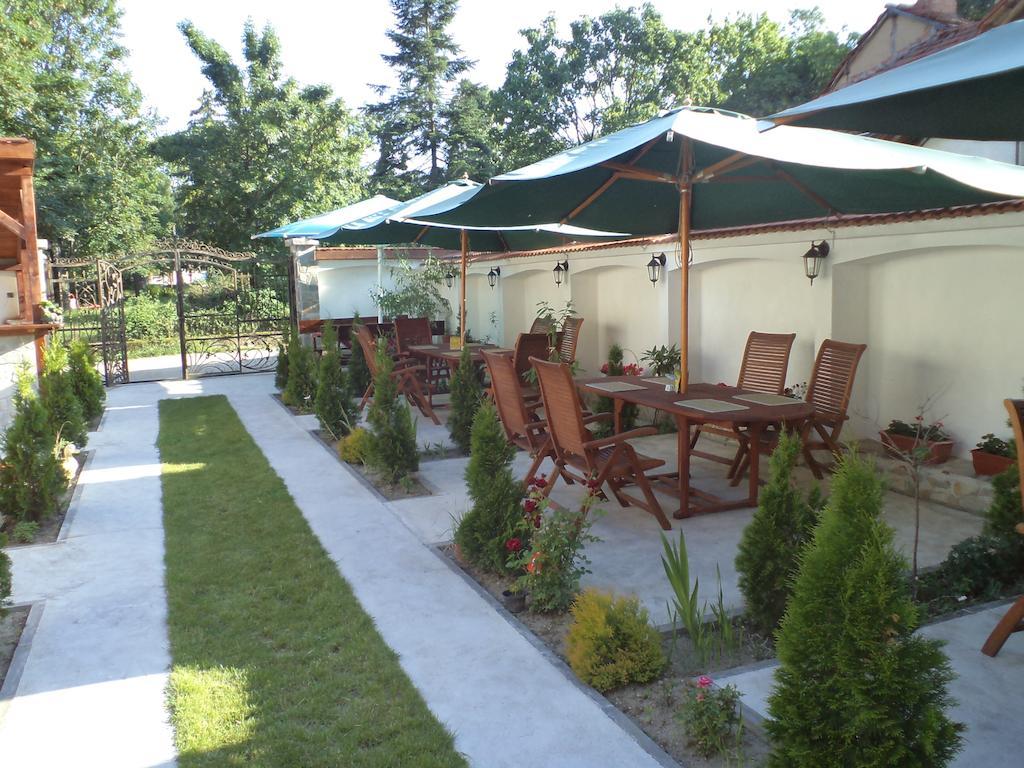 Tzvetelina Palace Hotel Dolna Banya Buitenkant foto